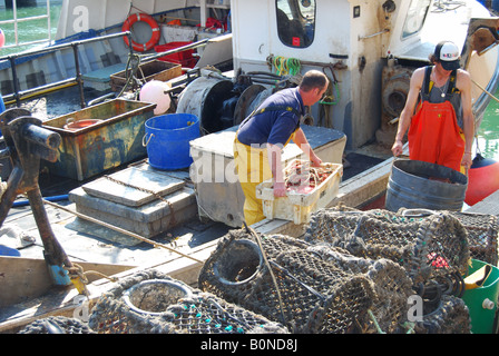 I pescatori di cattura di scarico sulla banchina di Weymouth Harbour, Weymouth Dorset, England, Regno Unito Foto Stock