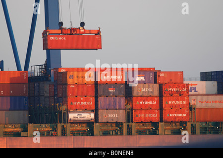 Il sollevamento con gru i container di spedizione su nave container Foto Stock