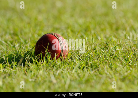 Una palla di cricket seduta nell'erba sul campo esterno di un campo di cricket. Foto Stock