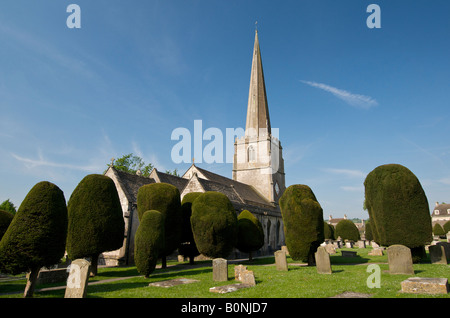 Yew alberi nella chiesa di Santa Maria a Painswick in Cotswolds Foto Stock