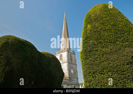 Yew alberi nella chiesa di Santa Maria a Painswick in Cotswolds Foto Stock