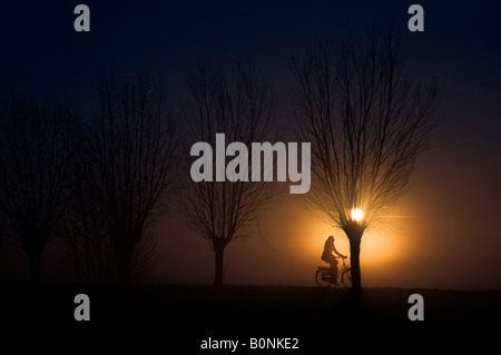 Ciclista su un po' di strada con gli alberi di salice durante il sorgere del sole Foto Stock