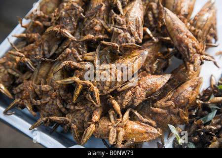 Spuntini di insetti - Nakhon Phnom, Nakhon Phnom provincia, Thailandia Foto Stock