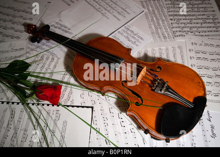 Violino strumento musicale con una rosa Foto Stock