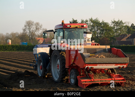 Trattore McCormick Regno Unito Foto Stock