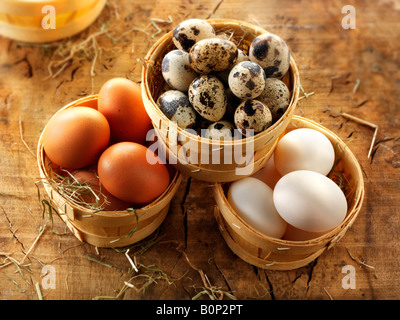 Free range quaglia, anatra e uova di gallina Foto Stock