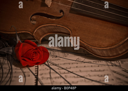 Violino strumento musicale con una rosa Foto Stock