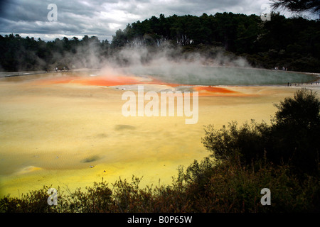 Piscine geotermali al Wai-o-tapu, vicino a Rotorua, Isola del nord, Nuova Zelanda Foto Stock