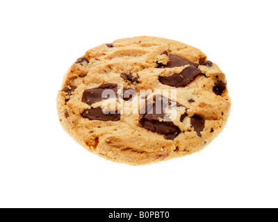Freschi e saporiti biscotti al cioccolato biscotti snack isolato sfondo bianco con nessun popolo e un tracciato di ritaglio Foto Stock