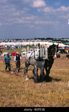 Team di Shire cavalli tirando un aratro al grande vapore Dorset Fair 2004 Foto Stock