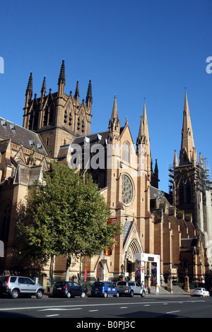 La Cattedrale di St Mary Sydney New South Wales AUSTRALIA Foto Stock