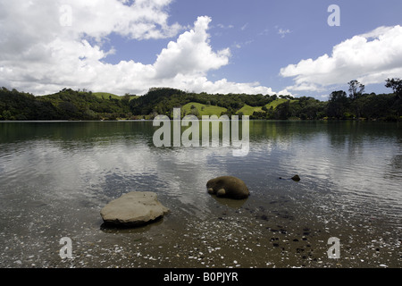 L'estuario di Puhoi a Wenderholm Parco Regionale, Waiwera, Auckland, Nuova Zelanda Foto Stock