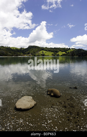 L estuario a Wenderholm Parco Regionale, Waiwera, Auckland, Nuova Zelanda Foto Stock