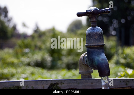 Esecuzione di un tap su un esterno di contenitore di acqua Foto Stock