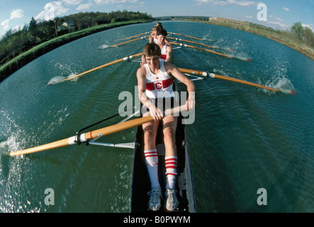 Sculling presso la Cornell University Foto Stock