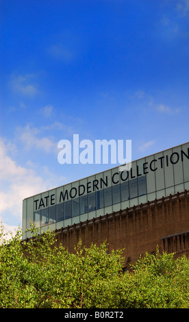 La Galleria d'arte Tate Modern di Londra Gran Bretagna Foto Stock