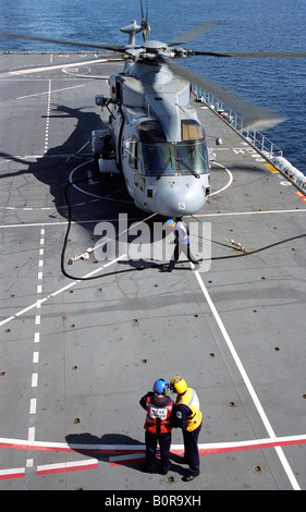 Un elicottero Merlin di 820 Squadrone durante i preparativi per ottenere airborne dal ponte di volo dell'assalto nave HMS Albion Foto Stock