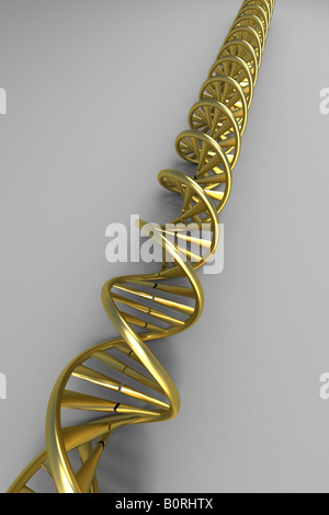 DNA preziosi realizzati in oro su sfondo grigio Foto Stock