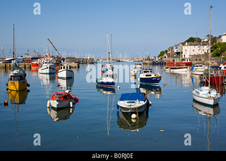 Barche da pesca nel porto interno a Brixham Devon UK Foto Stock