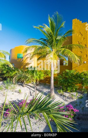 Vegetazione tropicale presso l'Half Moon Cay Welcome Center Bahamas Foto Stock