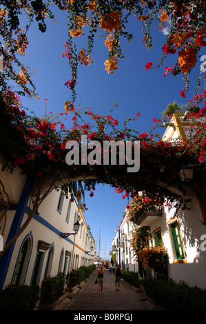 Gran Canaria strade di Puerto de Mogan fiori di bourgainville Foto Stock