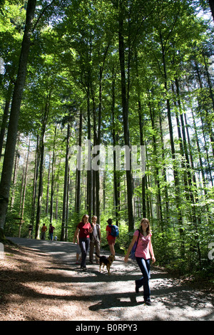 La gente che camminava sul sentiero attraverso la foresta Tier-Freigelande Germania Foto Stock