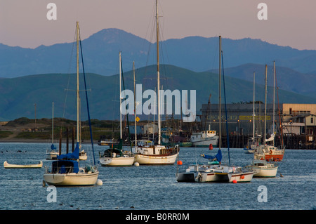 Barche al di ancoraggio a Morro Bay California Foto Stock