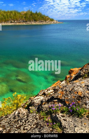 Bella vista su un pittoresco lago con acqua chiara Georgian Bay in Canada Foto Stock