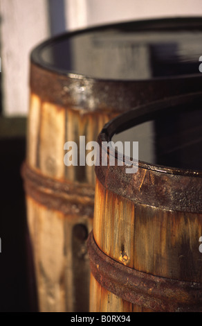 Aringhe di barili. Havstenssund, Bohuslan, Svezia. Foto Stock