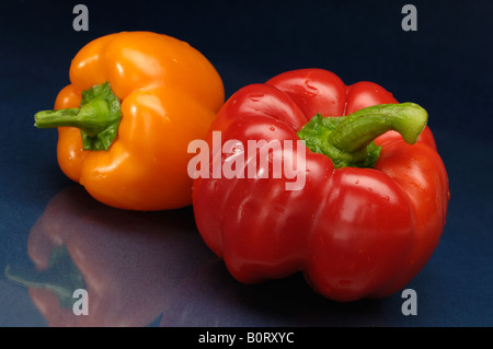 Colorata di peperoni Foto Stock