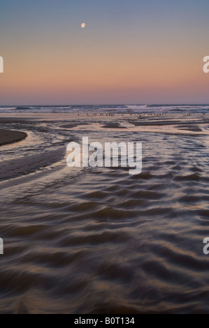 Luna tramonta all'alba su poco Morro Creek dal Morro Strand spiaggia di stato Morro Bay California Foto Stock