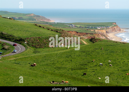Sentiero costiero e terreni agricoli a Compton baia guardando verso Hanover punto sull'Isola di Wight in Inghilterra REGNO UNITO Foto Stock
