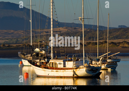 Barche a vela ancorate a Morro Bay California Foto Stock