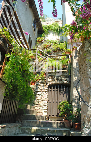 Ricoperto di fiori porta a Limone sul Garda in Italia settentrionale Foto Stock