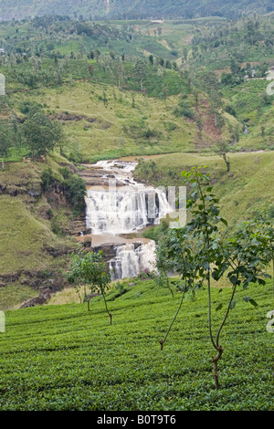 St Clair cascata e tenuta di tè vicino Talawakele visto dalla strada di Nuwara Eliya, Sri Lanka Foto Stock