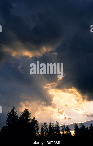 Raggi di sole al sorgere del sole attraverso il foro in Dark nuvole temporalesche su alberi Grand Teton National Park Wyoming Foto Stock