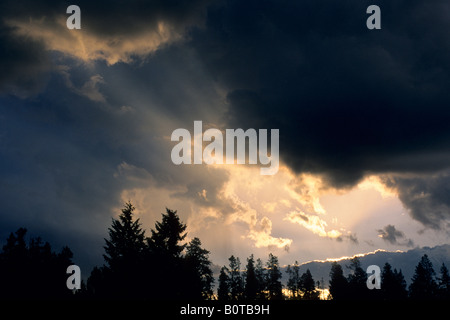 Raggi di sole al sorgere del sole attraverso il foro in Dark nuvole temporalesche su alberi Grand Teton National Park Wyoming Foto Stock