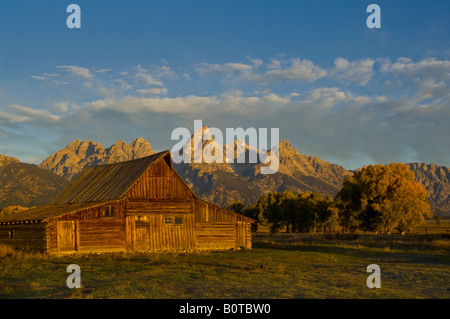 Il vecchio fienile in legno di alberi in autunno e montagne nella luce del mattino lungo la fila di Mormoni Grand Teton National Park Wyoming Foto Stock