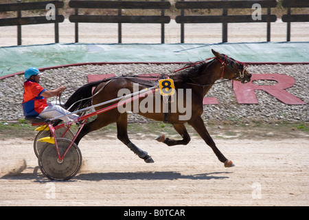 Horse Racing via Marsa Malta Valletta Foto Stock