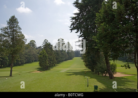 Campo da golf a Nuwara Eliya, 6000m sopra il livello del mare Foto Stock