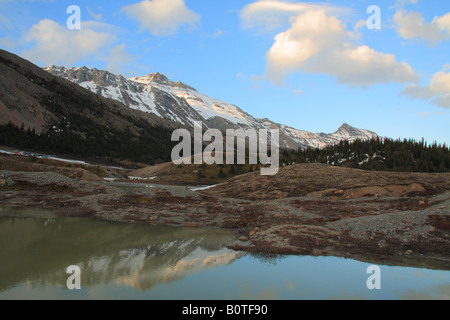 Ghiacciaio Athabasca area, il Parco Nazionale di Banff, Alberta Foto Stock