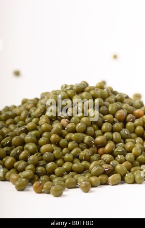 Fagiolo verde Foto Stock