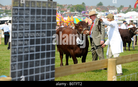 Heathfield & District Agricultural Show. La folla gregge alla contea show tenutosi nel mese di maggio. A giudicare di capi di bestiame in corso Foto Stock