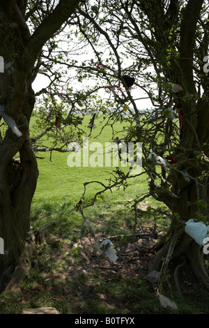 Offerte attaccato a una fata Thorn Tree sulla collina di tara nella contea di Meath, Repubblica di Irlanda Foto Stock