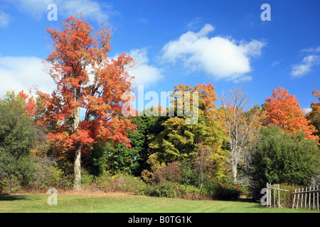 Bosco di Hancock Shaker Village, vicino Pittsfield nel cuore del Berkshires, Massachusetts, New England, STATI UNITI D'AMERICA Foto Stock