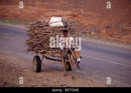 Vicino a Niamey, Niger, Africa occidentale. Legna da ardere in rotta di mercato. Foto Stock