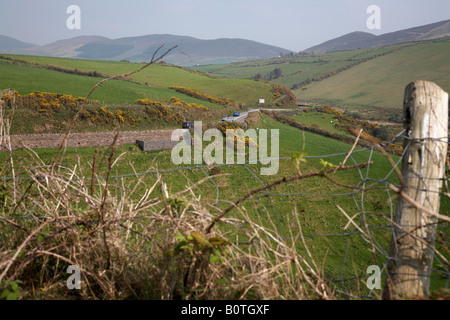 Vetture sulla principale strada turistica avvolgimento su strada attraverso campi della penisola di Dingle en route a Dingle contea di Kerry repubblica Foto Stock