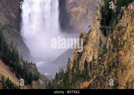 Inferiore cade Yellowstone Grand Canyon di Yellowstone Fiume Yellowstone National Park Wyoming Foto Stock