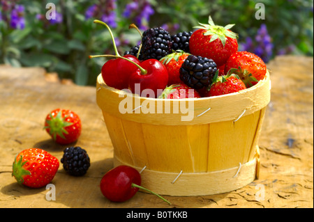 Frutta estiva - Organico raccolte fresche Ciliege, more di rovo e fragole Foto Stock
