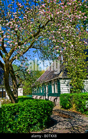 Broek in Waterland olandese North Holland Olanda Foto Stock